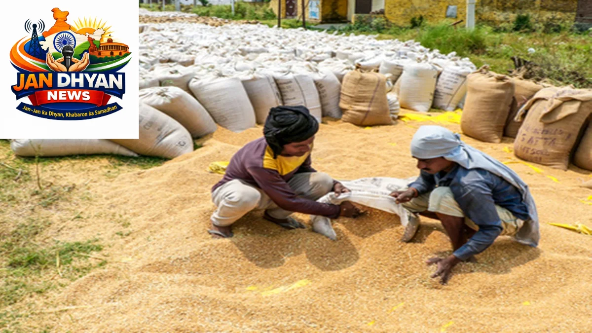 India Foodgrain Production: खाद्यान्न उत्पादन 376.56 मिलियन टन पहुंचने का अनुमान, भंडारण व्यवस्था पर जोर