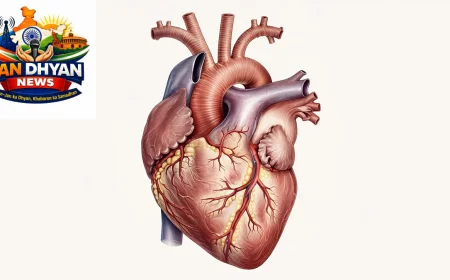 World Heart Day 2026: दिल की सेहत के लिए इन संकेतों को न करें नजरअंदाज