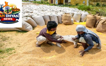 India Foodgrain Production: खाद्यान्न उत्पादन 376.56 मिलियन टन पहुंचने का अनुमान, भंडारण व्यवस्था पर जोर