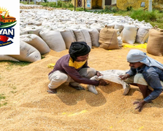 India Foodgrain Production: खाद्यान्न उत्पादन 376.56 मिलियन टन पहुंचने का अनुमान, भंडारण व्यवस्था पर जोर