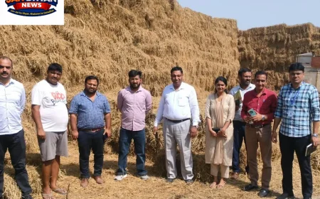 पंजाब-हरियाणा में पराली जलाने पर रोक के लिए 34 जिलों में फ्लाइंग स्क्वाड तैनात