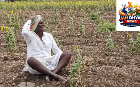 विजयनगर में सूखे का जायजा लेगी केंद्रीय टीम, 2.71 लाख हेक्टेयर फसल प्रभावित